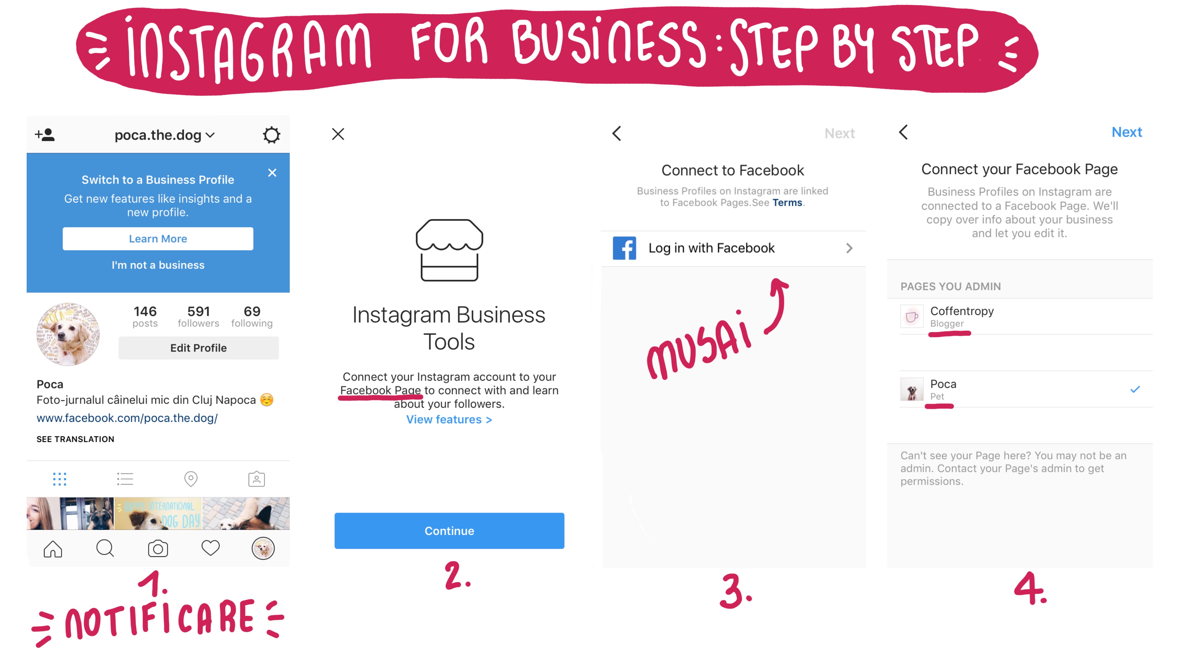 instagram for business step by step