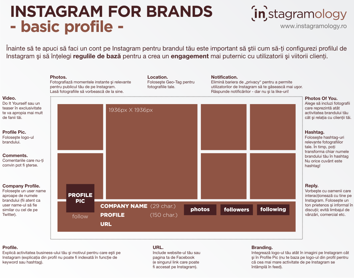 basic instagram brand infographic