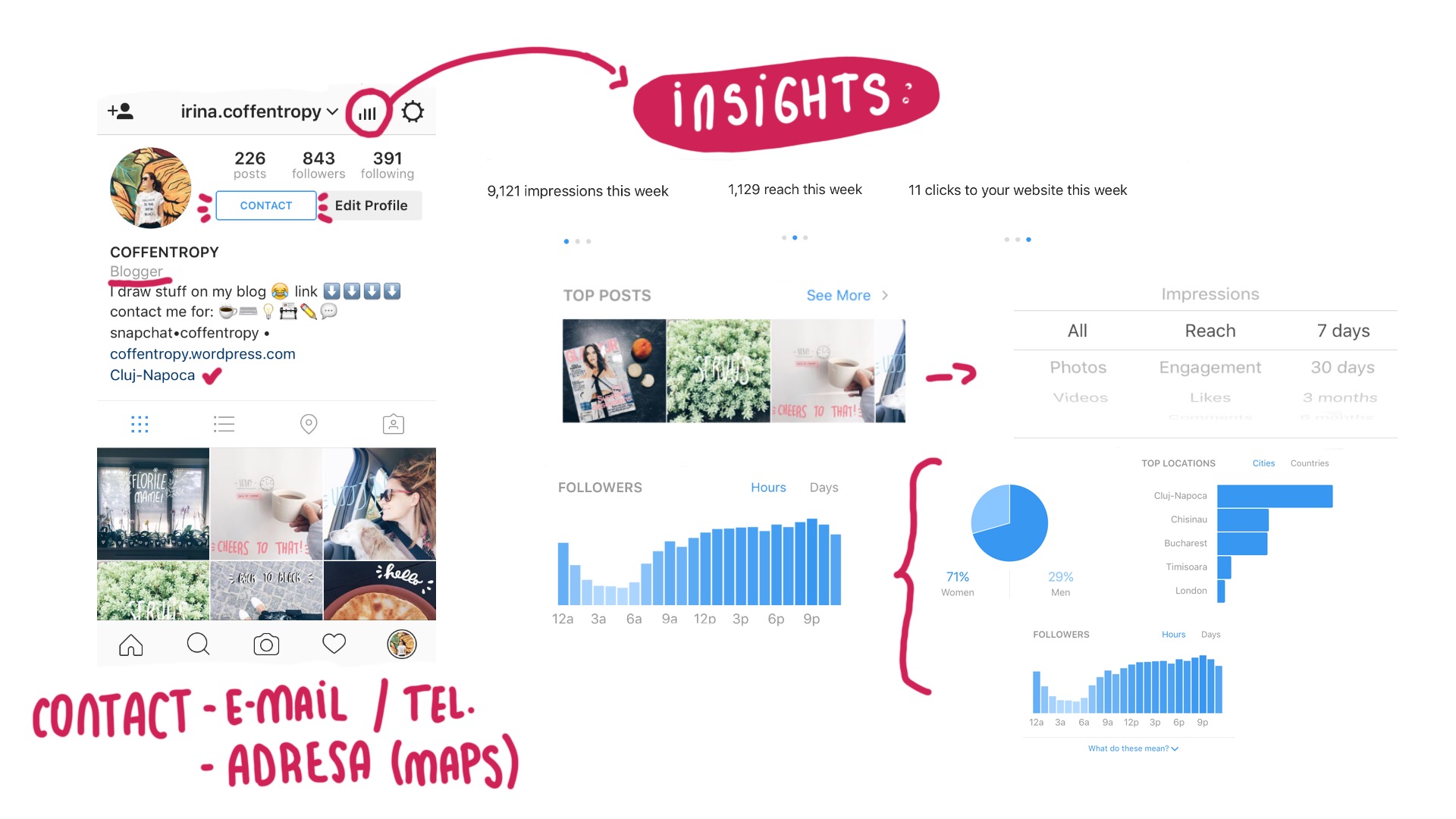 instagram for business insights